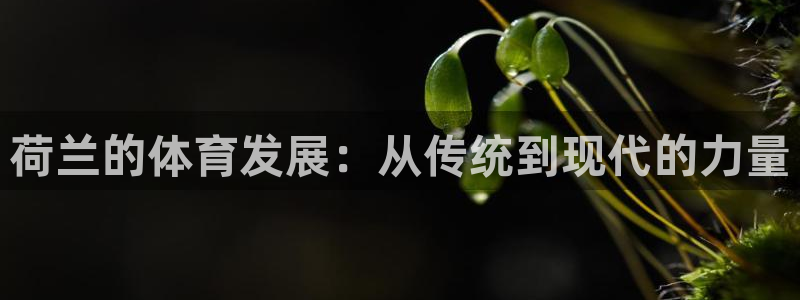 意昂新能源汽车科技有限公司