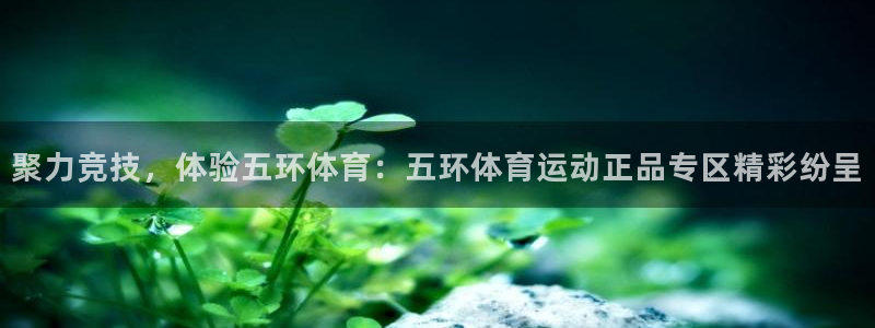 意昂体育官网