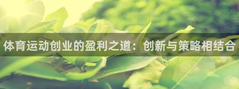 逐梦国际零能源集团：体育运动创业的盈利之道：创新与策略相结合
